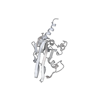 13817_7q4u_Z_v1-1
Cryo-EM structure of Mycobacterium tuberculosis RNA polymerase holoenzyme octamer comprising sigma factor SigB