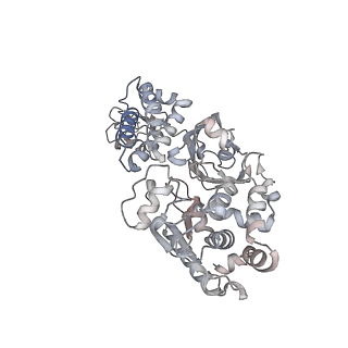 13819_7q4w_F_v1-3
CryoEM structure of electron bifurcating Fe-Fe hydrogenase HydABC complex A. woodii in the oxidised state