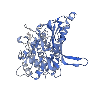 18148_8q4h_A_v1-1
a membrane-bound menaquinol:organohalide oxidoreductase complex RDH complex