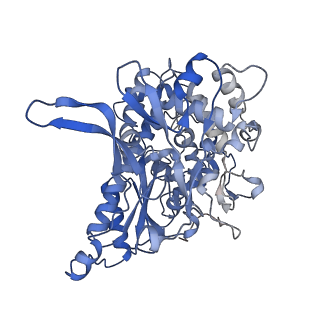 18148_8q4h_B_v1-1
a membrane-bound menaquinol:organohalide oxidoreductase complex RDH complex