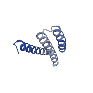 18148_8q4h_C_v1-1
a membrane-bound menaquinol:organohalide oxidoreductase complex RDH complex