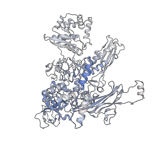 13829_7q59_C_v1-1
Cryo-EM structure of Mycobacterium tuberculosis RNA polymerase holoenzyme dimer comprising sigma factor SigB