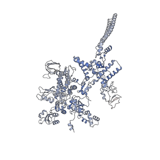 13829_7q59_D_v1-1
Cryo-EM structure of Mycobacterium tuberculosis RNA polymerase holoenzyme dimer comprising sigma factor SigB