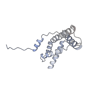 13829_7q59_F_v1-1
Cryo-EM structure of Mycobacterium tuberculosis RNA polymerase holoenzyme dimer comprising sigma factor SigB