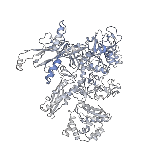 13829_7q59_c_v1-1
Cryo-EM structure of Mycobacterium tuberculosis RNA polymerase holoenzyme dimer comprising sigma factor SigB