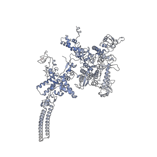 13829_7q59_d_v1-1
Cryo-EM structure of Mycobacterium tuberculosis RNA polymerase holoenzyme dimer comprising sigma factor SigB