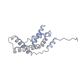 13829_7q59_f_v1-1
Cryo-EM structure of Mycobacterium tuberculosis RNA polymerase holoenzyme dimer comprising sigma factor SigB