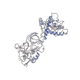 13831_7q5b_B_v1-0
Cryo-EM structure of Ty3 retrotransposon targeting a TFIIIB-bound tRNA gene