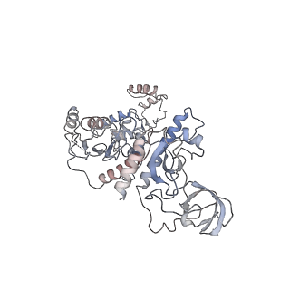 13831_7q5b_C_v1-0
Cryo-EM structure of Ty3 retrotransposon targeting a TFIIIB-bound tRNA gene
