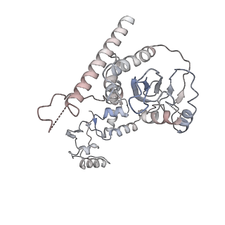 13831_7q5b_D_v1-0
Cryo-EM structure of Ty3 retrotransposon targeting a TFIIIB-bound tRNA gene
