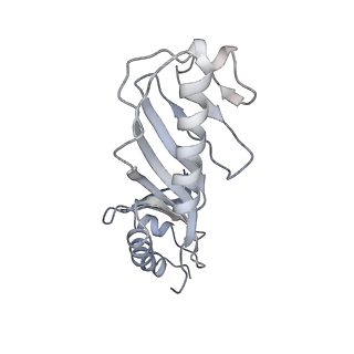 13831_7q5b_Y_v1-0
Cryo-EM structure of Ty3 retrotransposon targeting a TFIIIB-bound tRNA gene