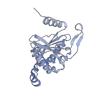 13844_7q5q_B_v1-3
Protein community member oxoglutarate dehydrogenase complex E2 core from C. thermophilum