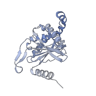 13844_7q5q_C_v1-3
Protein community member oxoglutarate dehydrogenase complex E2 core from C. thermophilum
