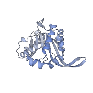 13844_7q5q_D_v1-3
Protein community member oxoglutarate dehydrogenase complex E2 core from C. thermophilum