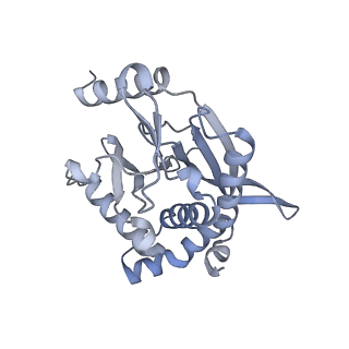 13844_7q5q_E_v1-3
Protein community member oxoglutarate dehydrogenase complex E2 core from C. thermophilum