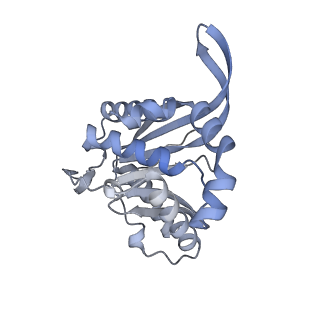13844_7q5q_F_v1-3
Protein community member oxoglutarate dehydrogenase complex E2 core from C. thermophilum