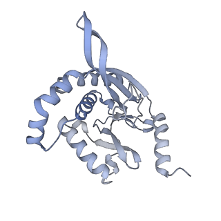 13844_7q5q_G_v1-3
Protein community member oxoglutarate dehydrogenase complex E2 core from C. thermophilum