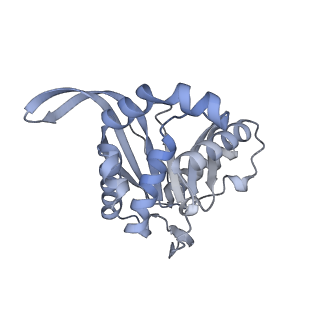 13844_7q5q_I_v1-3
Protein community member oxoglutarate dehydrogenase complex E2 core from C. thermophilum