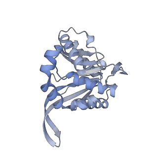 13844_7q5q_J_v1-3
Protein community member oxoglutarate dehydrogenase complex E2 core from C. thermophilum