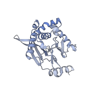 13844_7q5q_K_v1-3
Protein community member oxoglutarate dehydrogenase complex E2 core from C. thermophilum