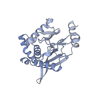 13844_7q5q_L_v1-3
Protein community member oxoglutarate dehydrogenase complex E2 core from C. thermophilum