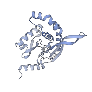 13844_7q5q_M_v1-3
Protein community member oxoglutarate dehydrogenase complex E2 core from C. thermophilum