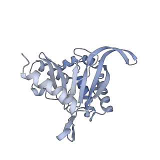 13844_7q5q_N_v1-3
Protein community member oxoglutarate dehydrogenase complex E2 core from C. thermophilum
