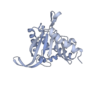 13844_7q5q_O_v1-3
Protein community member oxoglutarate dehydrogenase complex E2 core from C. thermophilum