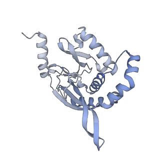 13844_7q5q_P_v1-3
Protein community member oxoglutarate dehydrogenase complex E2 core from C. thermophilum