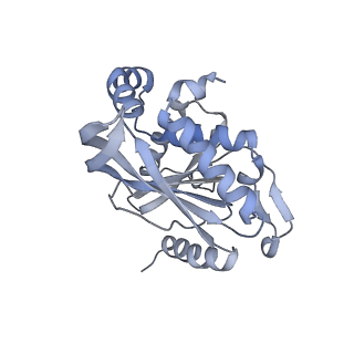13844_7q5q_R_v1-3
Protein community member oxoglutarate dehydrogenase complex E2 core from C. thermophilum