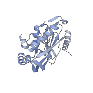 13844_7q5q_S_v1-3
Protein community member oxoglutarate dehydrogenase complex E2 core from C. thermophilum