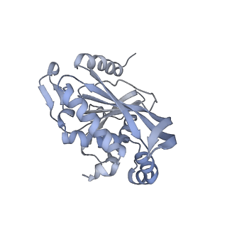 13844_7q5q_T_v1-3
Protein community member oxoglutarate dehydrogenase complex E2 core from C. thermophilum
