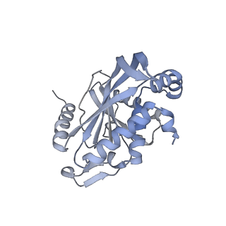 13844_7q5q_V_v1-3
Protein community member oxoglutarate dehydrogenase complex E2 core from C. thermophilum