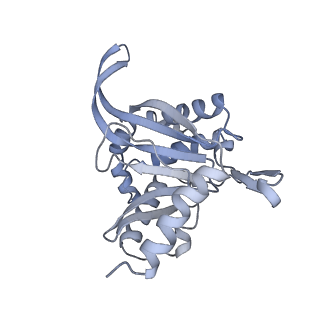 13844_7q5q_W_v1-3
Protein community member oxoglutarate dehydrogenase complex E2 core from C. thermophilum