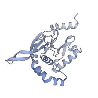13844_7q5q_X_v1-3
Protein community member oxoglutarate dehydrogenase complex E2 core from C. thermophilum