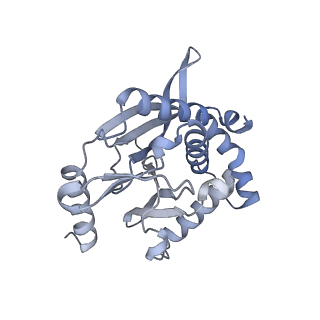 13844_7q5q_Y_v1-3
Protein community member oxoglutarate dehydrogenase complex E2 core from C. thermophilum