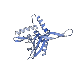 13845_7q5r_AB_v1-3
Protein community member pyruvate dehydrogenase complex E2 core from C. thermophilum