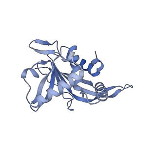 13845_7q5r_A_v1-3
Protein community member pyruvate dehydrogenase complex E2 core from C. thermophilum