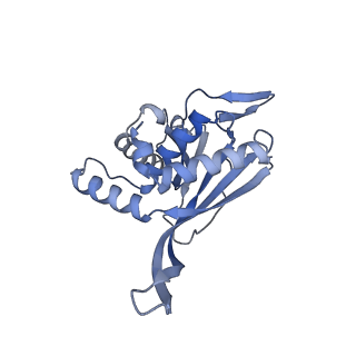 13845_7q5r_BA_v1-3
Protein community member pyruvate dehydrogenase complex E2 core from C. thermophilum