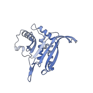 13845_7q5r_BB_v1-3
Protein community member pyruvate dehydrogenase complex E2 core from C. thermophilum