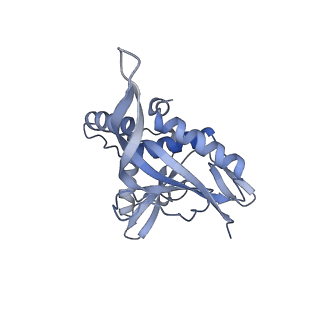 13845_7q5r_CA_v1-3
Protein community member pyruvate dehydrogenase complex E2 core from C. thermophilum
