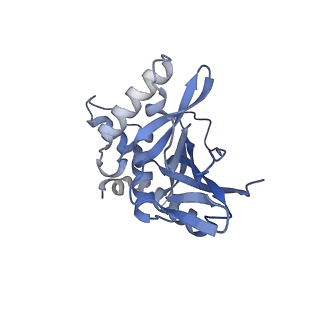 13845_7q5r_CB_v1-3
Protein community member pyruvate dehydrogenase complex E2 core from C. thermophilum