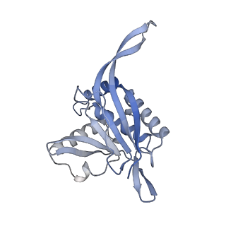 13845_7q5r_DA_v1-3
Protein community member pyruvate dehydrogenase complex E2 core from C. thermophilum