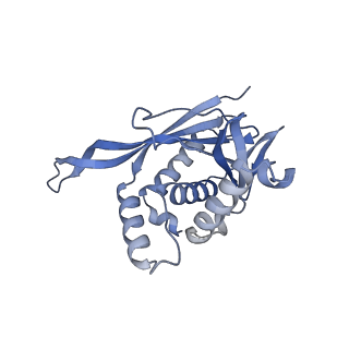 13845_7q5r_D_v1-3
Protein community member pyruvate dehydrogenase complex E2 core from C. thermophilum