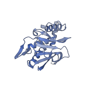 13845_7q5r_EB_v1-3
Protein community member pyruvate dehydrogenase complex E2 core from C. thermophilum