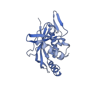 13845_7q5r_E_v1-3
Protein community member pyruvate dehydrogenase complex E2 core from C. thermophilum