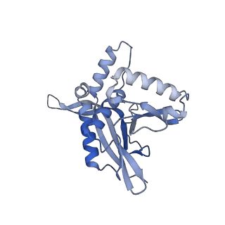 13845_7q5r_FB_v1-3
Protein community member pyruvate dehydrogenase complex E2 core from C. thermophilum