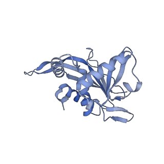 13845_7q5r_F_v1-3
Protein community member pyruvate dehydrogenase complex E2 core from C. thermophilum