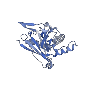 13845_7q5r_GA_v1-3
Protein community member pyruvate dehydrogenase complex E2 core from C. thermophilum