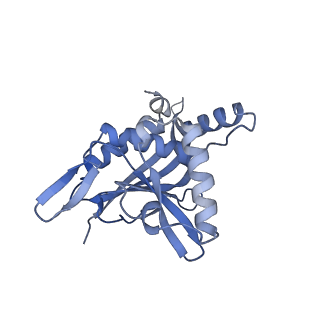 13845_7q5r_HA_v1-3
Protein community member pyruvate dehydrogenase complex E2 core from C. thermophilum